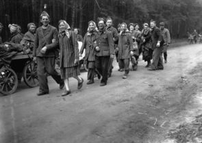 Französische Kriegsgefangene, befreite Zwangsarbeiterinnen und politische Gefangene verschiedener Nationalitäten auf einer Straße westlich von Berlin, Mai 1945